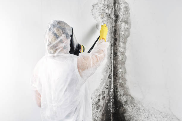 24/7 water damage repair in Pemberton Heights, NJ