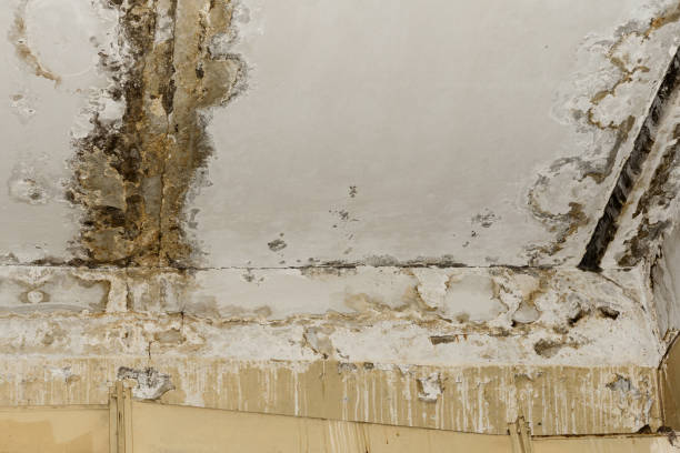 Professional Water damage restoration in Pemberton Heights, NJ