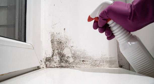 Sewage cleanup and water damage restoration in Pemberton Heights, NJ